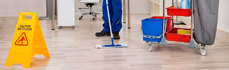 carros limpieza profesional